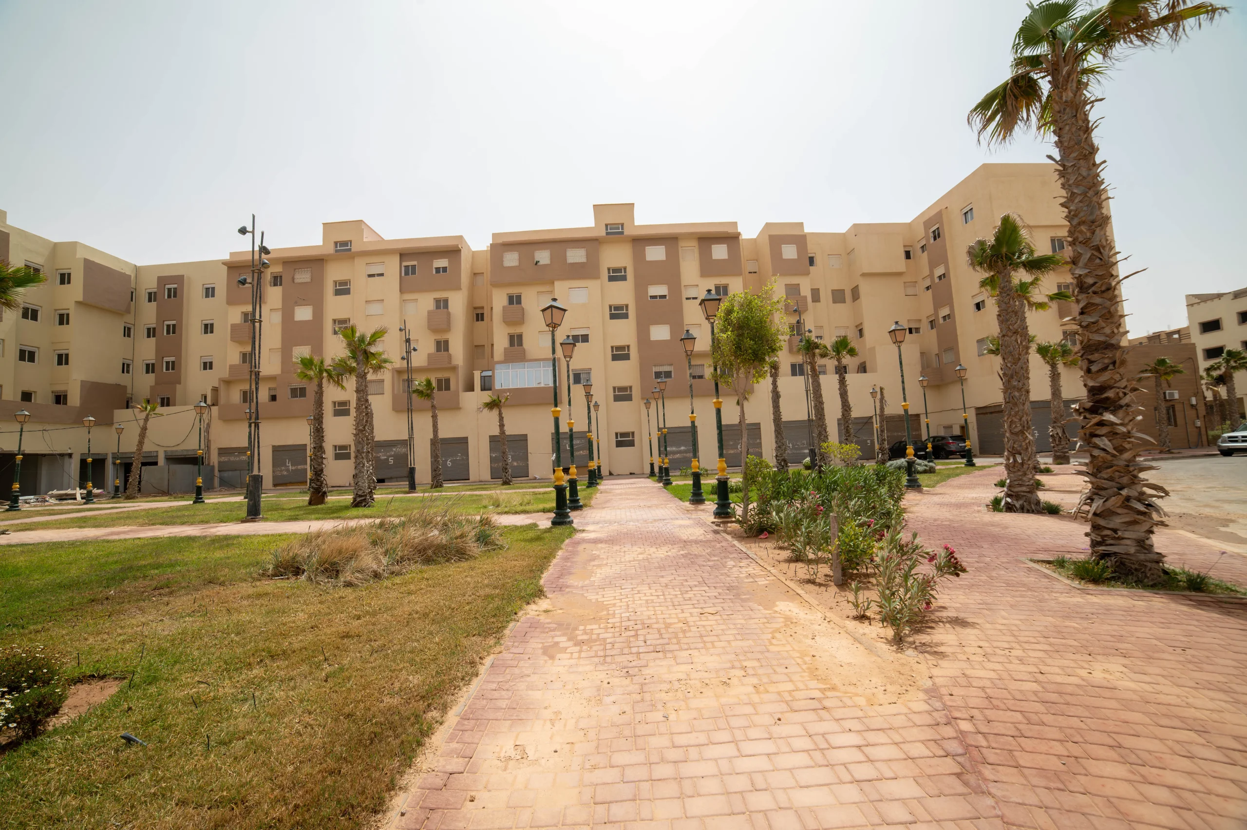 صورة إقامة مجموعة الضحى - DSC_2218